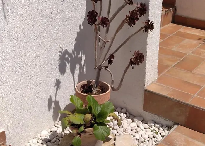 Niko With Private Swimming Pool Villa Zadar