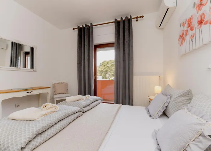 Niko With Private Swimming Pool Zadar